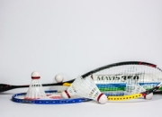 九游娱乐入口-泰国羽毛球队逆转丹麦羽毛球队，陶菲克打破历史纪录