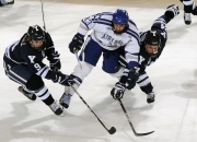 九游app下载-广东队速胜篮网，布克成为关键先生