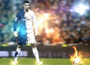 9you娱乐-赛道上的红与蓝，红牛鏖战索伯，诺里斯一骑绝尘