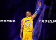 九游体育-当约基奇遇上闽粤鏖战，孤胆英雄如何扛起一支球队的荣光