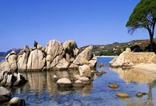 九游app下载-沃尔夫斯堡德甲连胜，势不可挡！的简单介绍