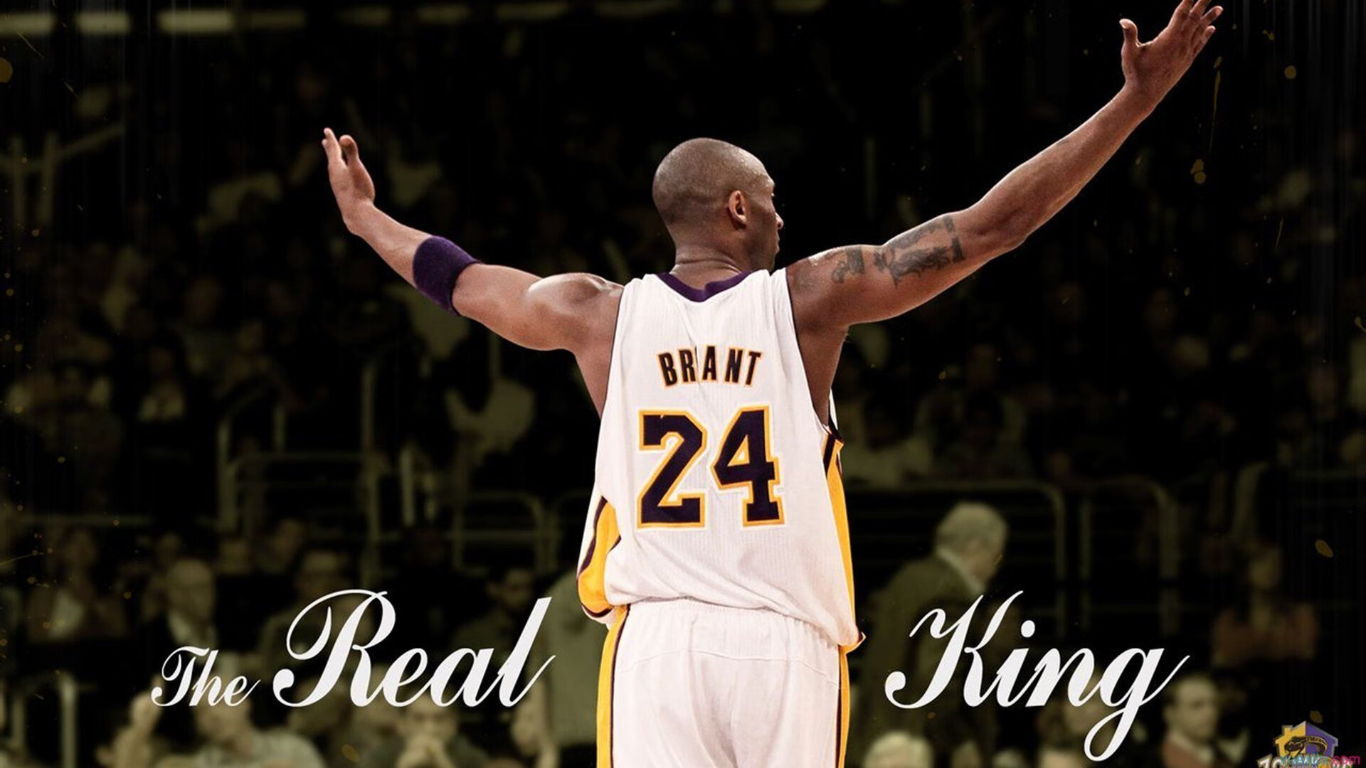 骑士横扫热火,字母哥用实力证明自己,从质疑到王座的铁血征程